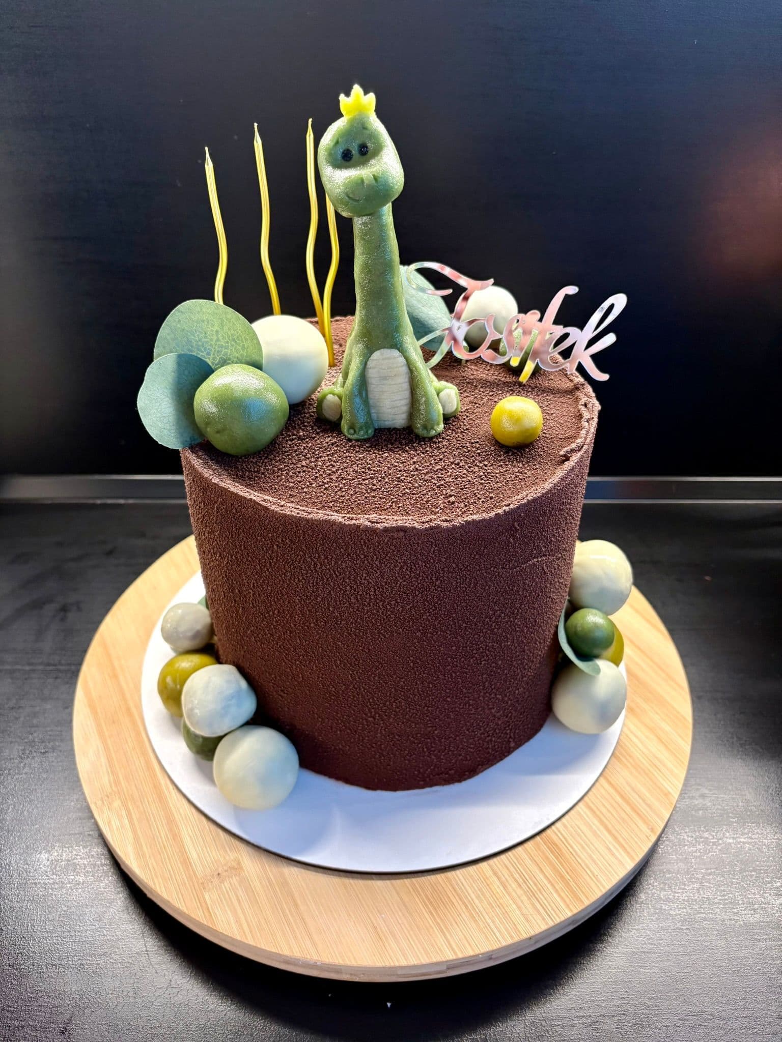 Dort s dinosaurem